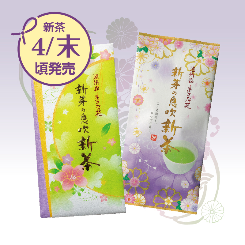 【9721】新芽の息吹新茶 70g詰（たとう包み）