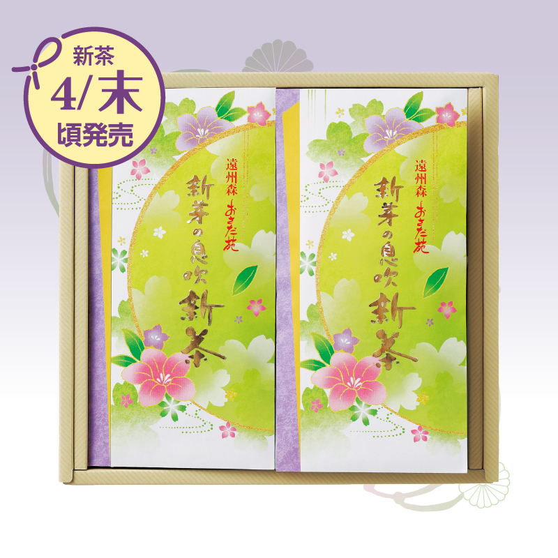 【9722】新芽の息吹新茶 2点セット 平箱入