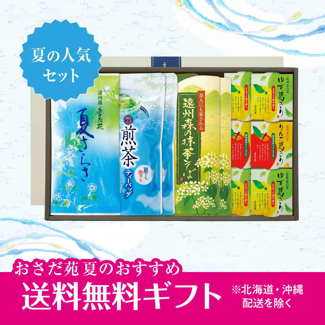 【3202】夏のバラエティセット