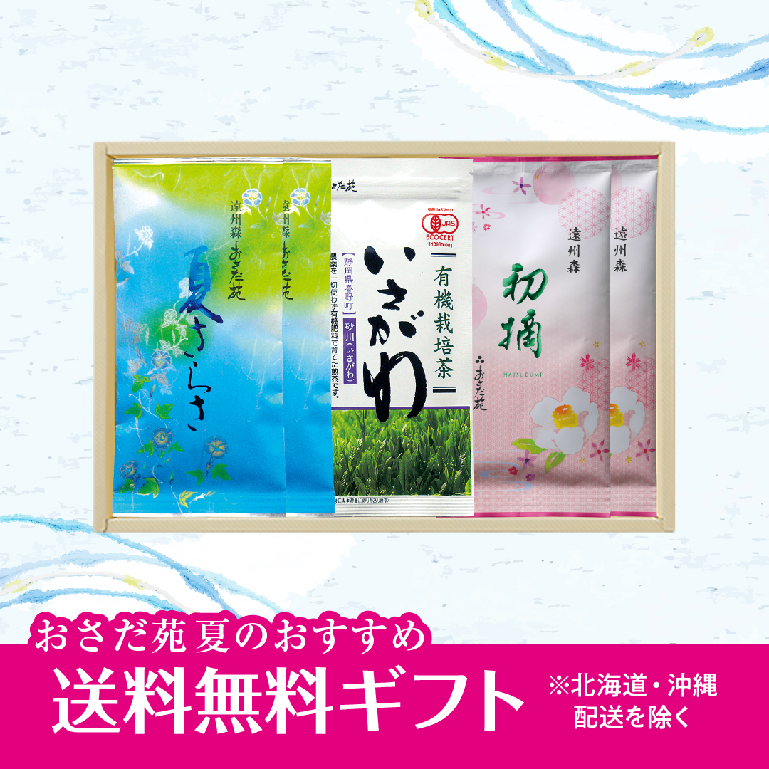 【3974】夏のおすすめ5本セット