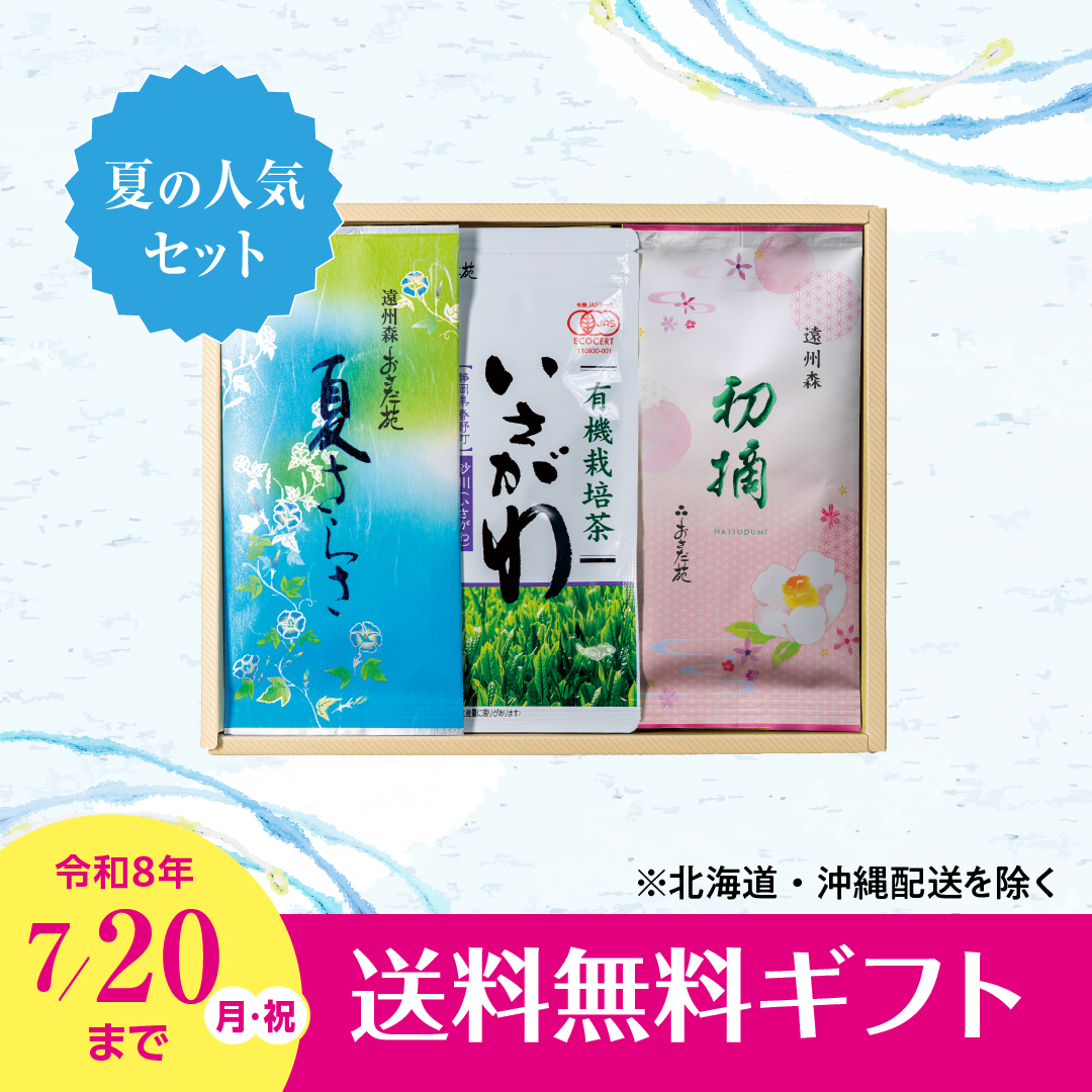 【3973】夏のおすすめ3本セット