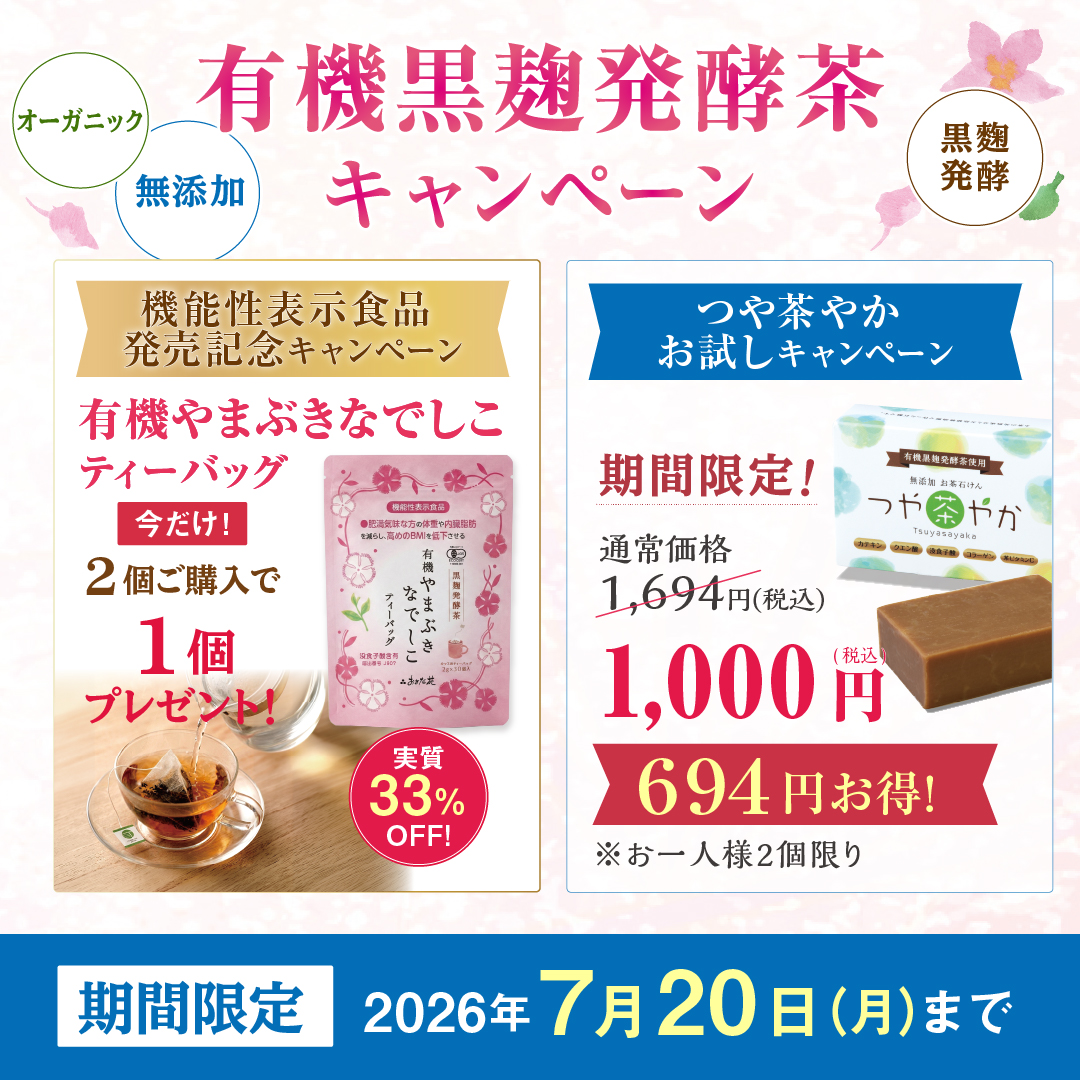 やまぶきなでしこ