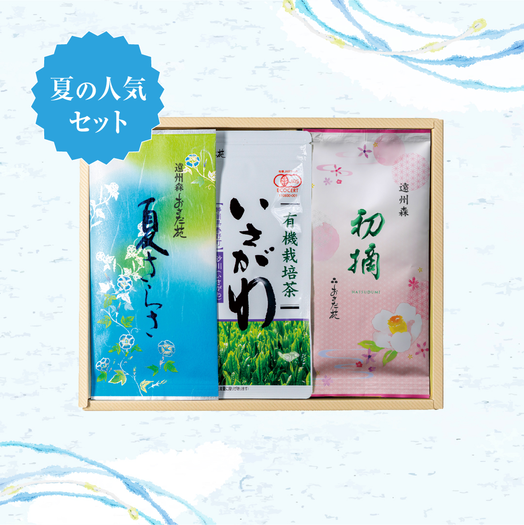 【3973】夏のおすすめ3本セット
