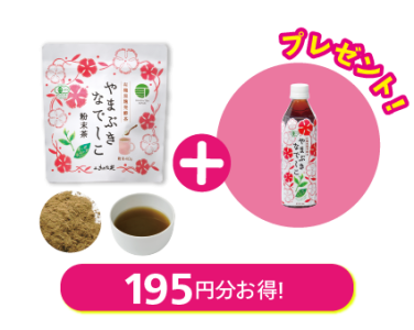 やまぶき特集用ページ-06